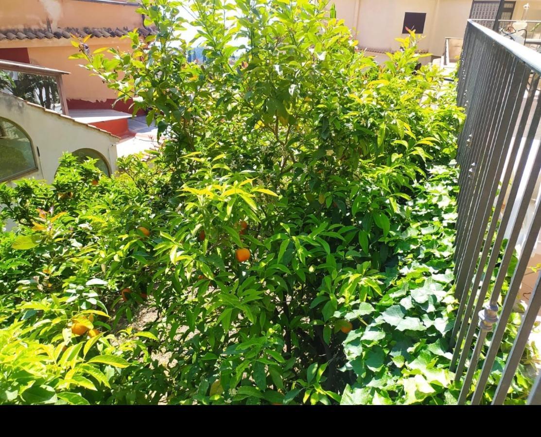 Apartment Marifra Garden Taormina Exterior photo
